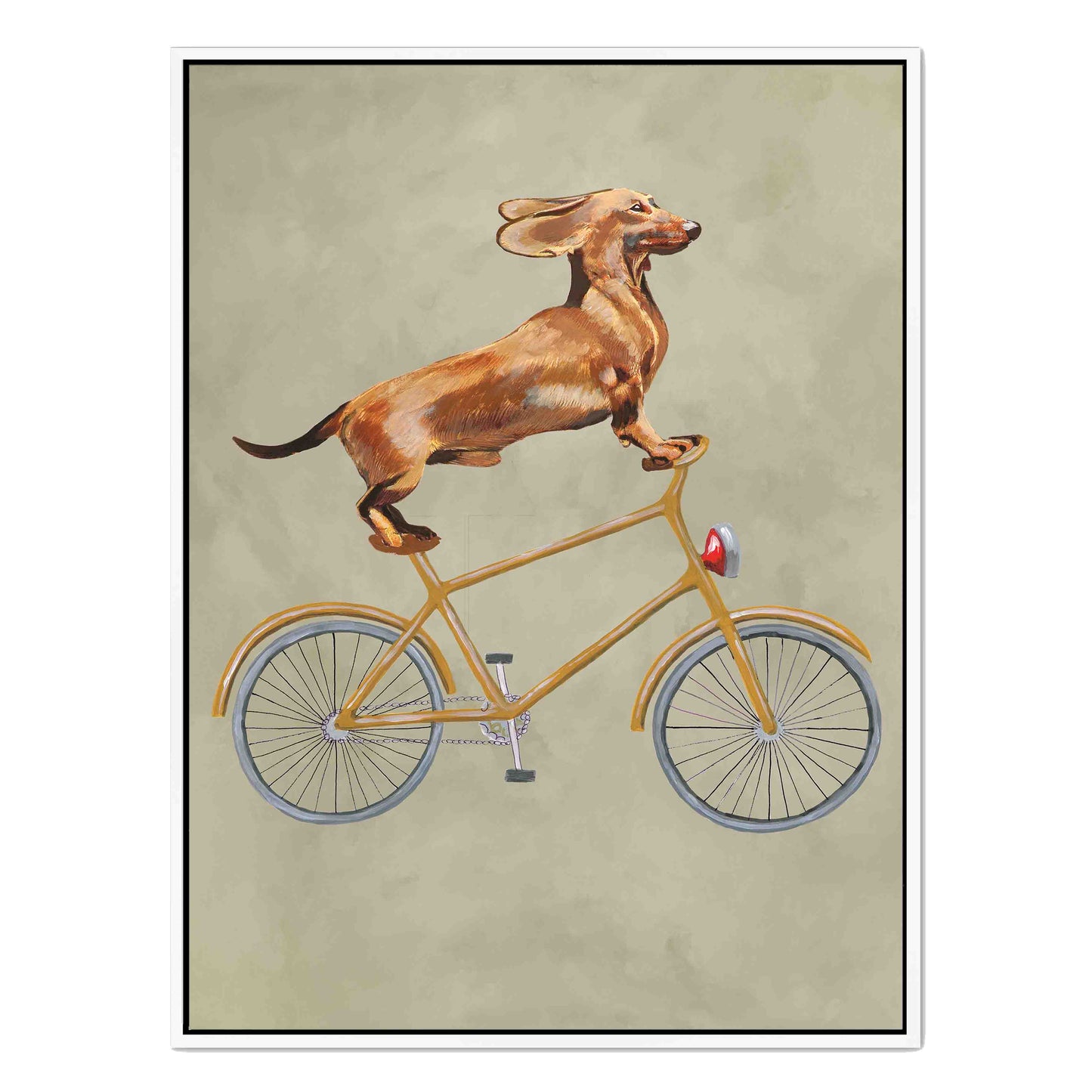 DACHSHUND ON BICYCLE | CANVAS