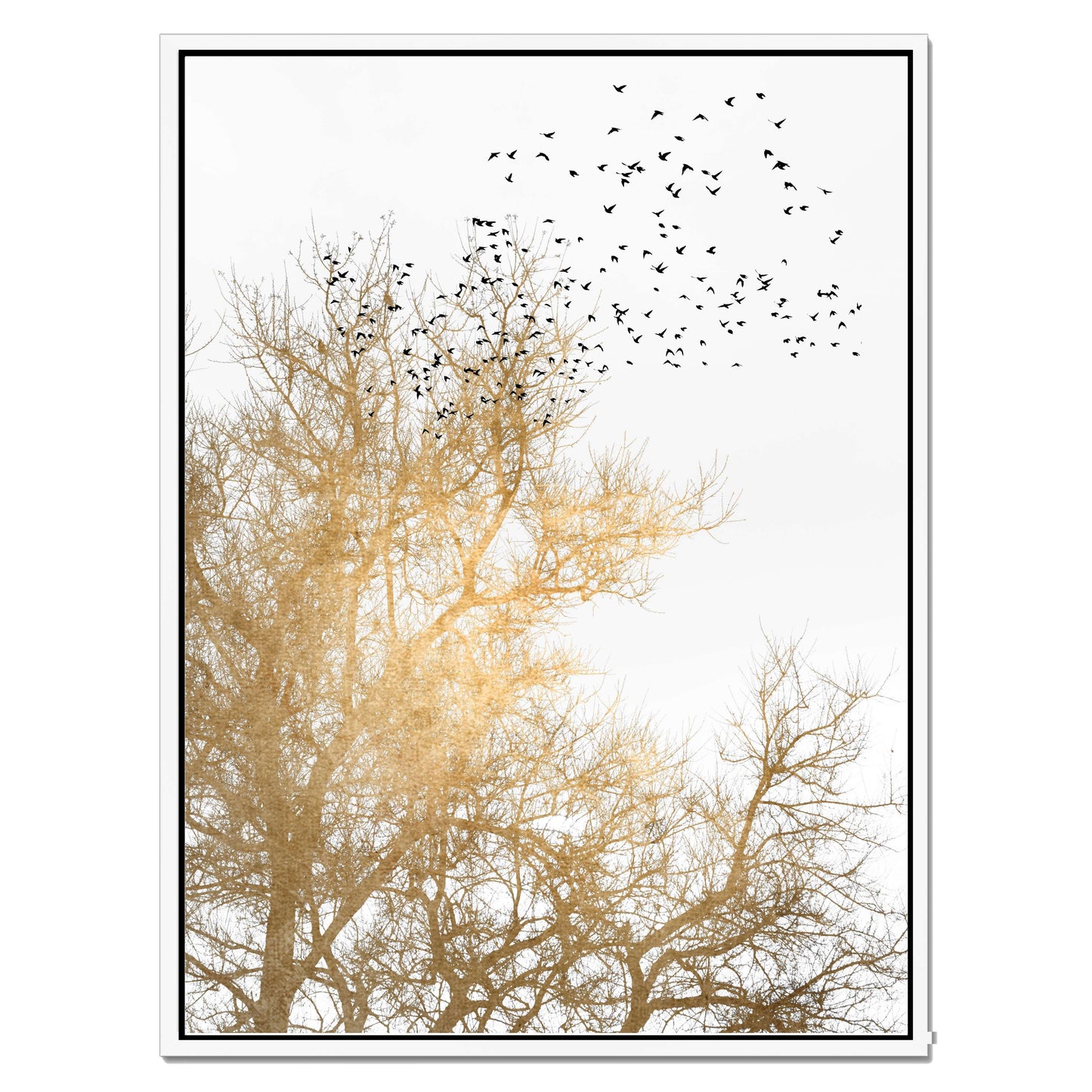 GOLDEN SKIES | CANVAS