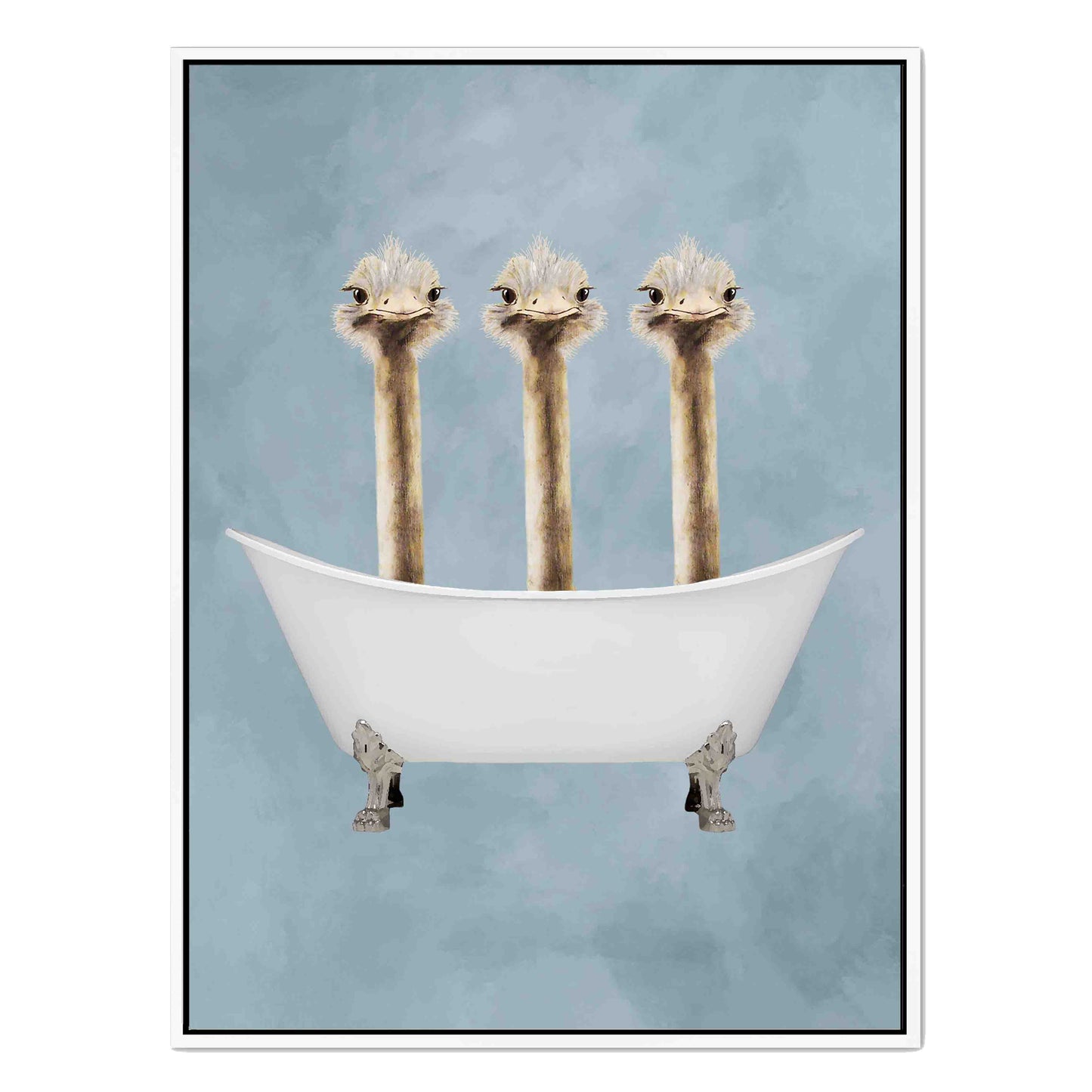 OSTRICHES IN BATHTUB | CANVAS