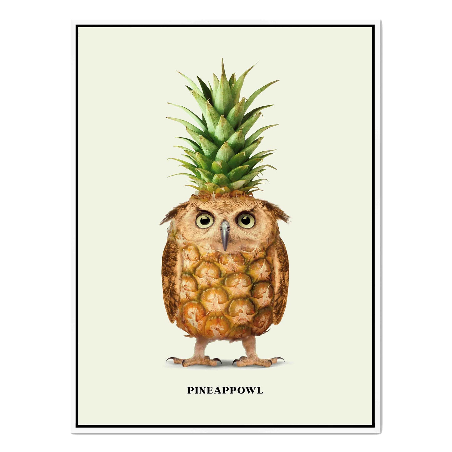 PINEAPPOWL | CANVAS