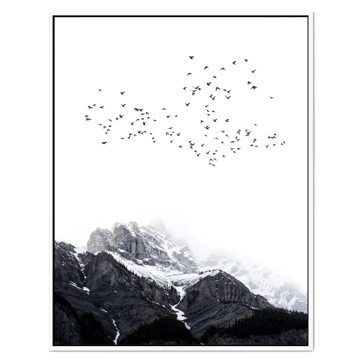 THE MOUNTAINS | CANVAS