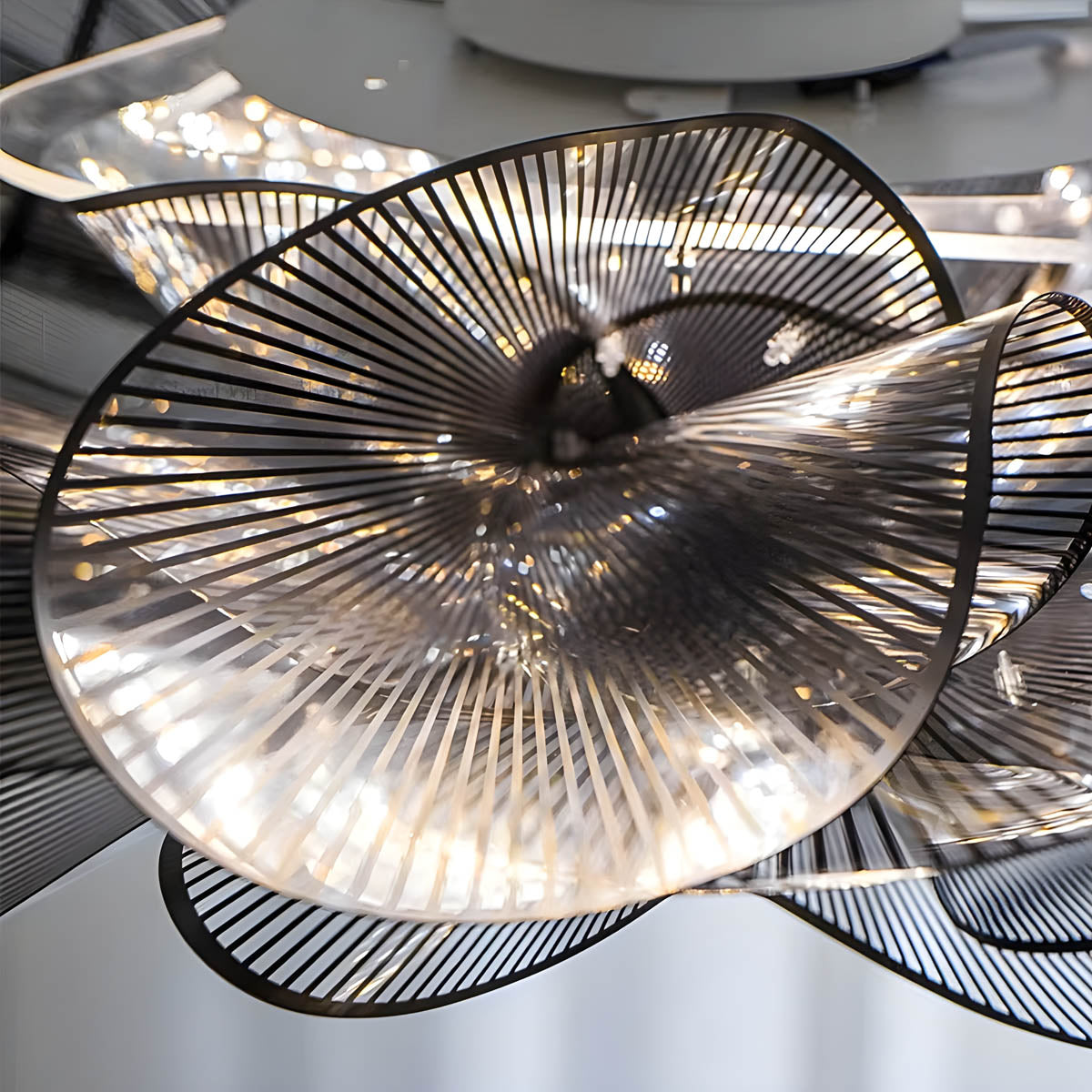 LAUREN (Reduced Price | Ceiling | Black / Warm White)