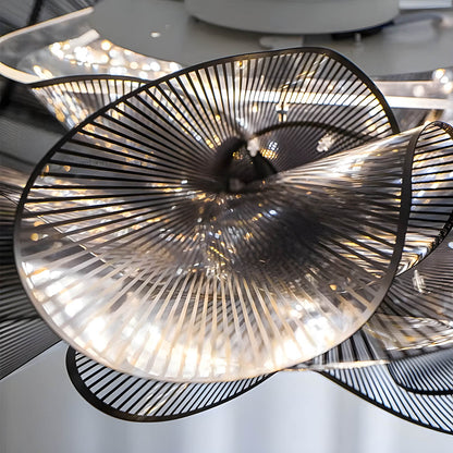 LAUREN (Reduced Price | Ceiling | Black / Warm White)