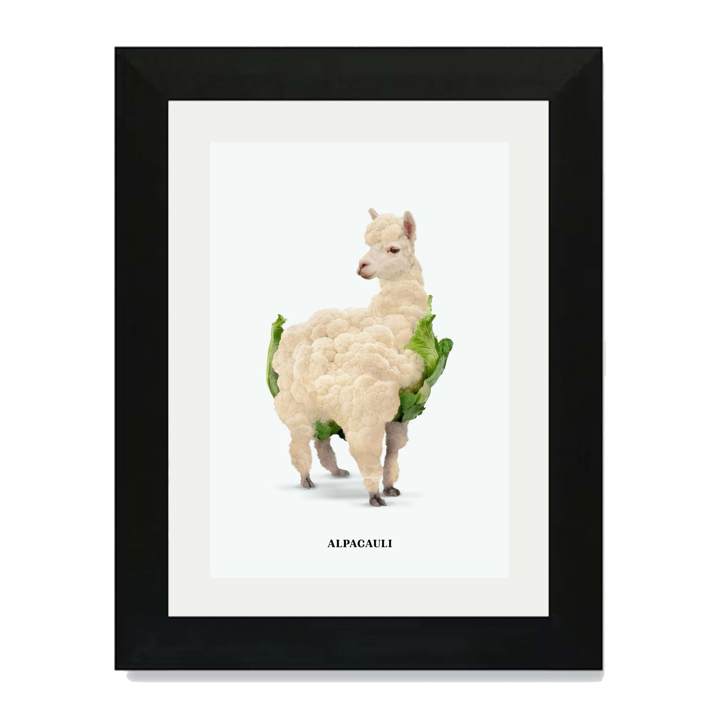ALPACAULI | PRINT