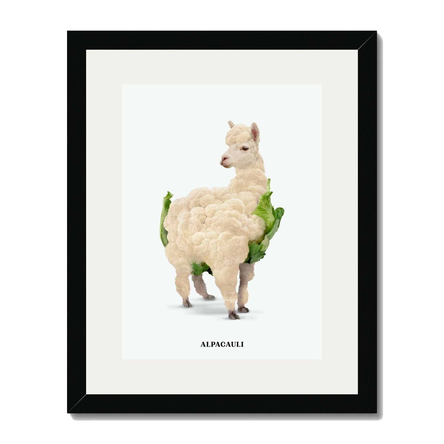 ALPACAULI | PRINT
