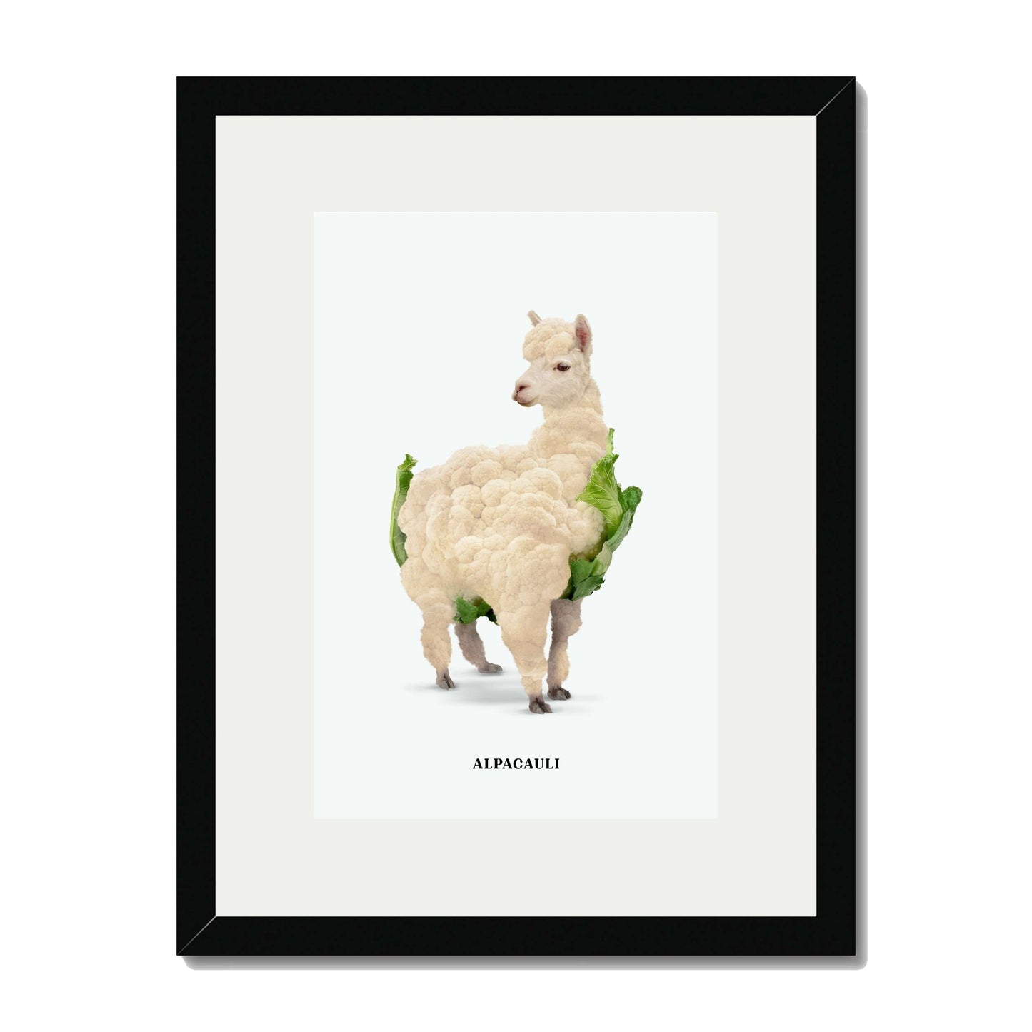 ALPACAULI | PRINT