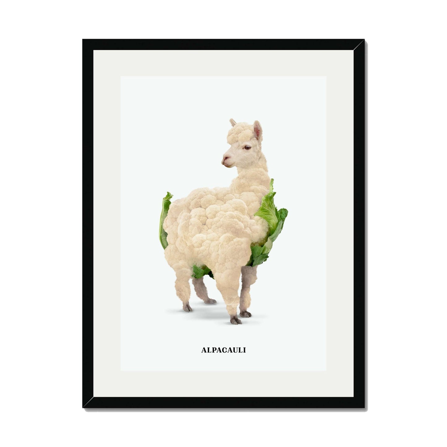 ALPACAULI | PRINT