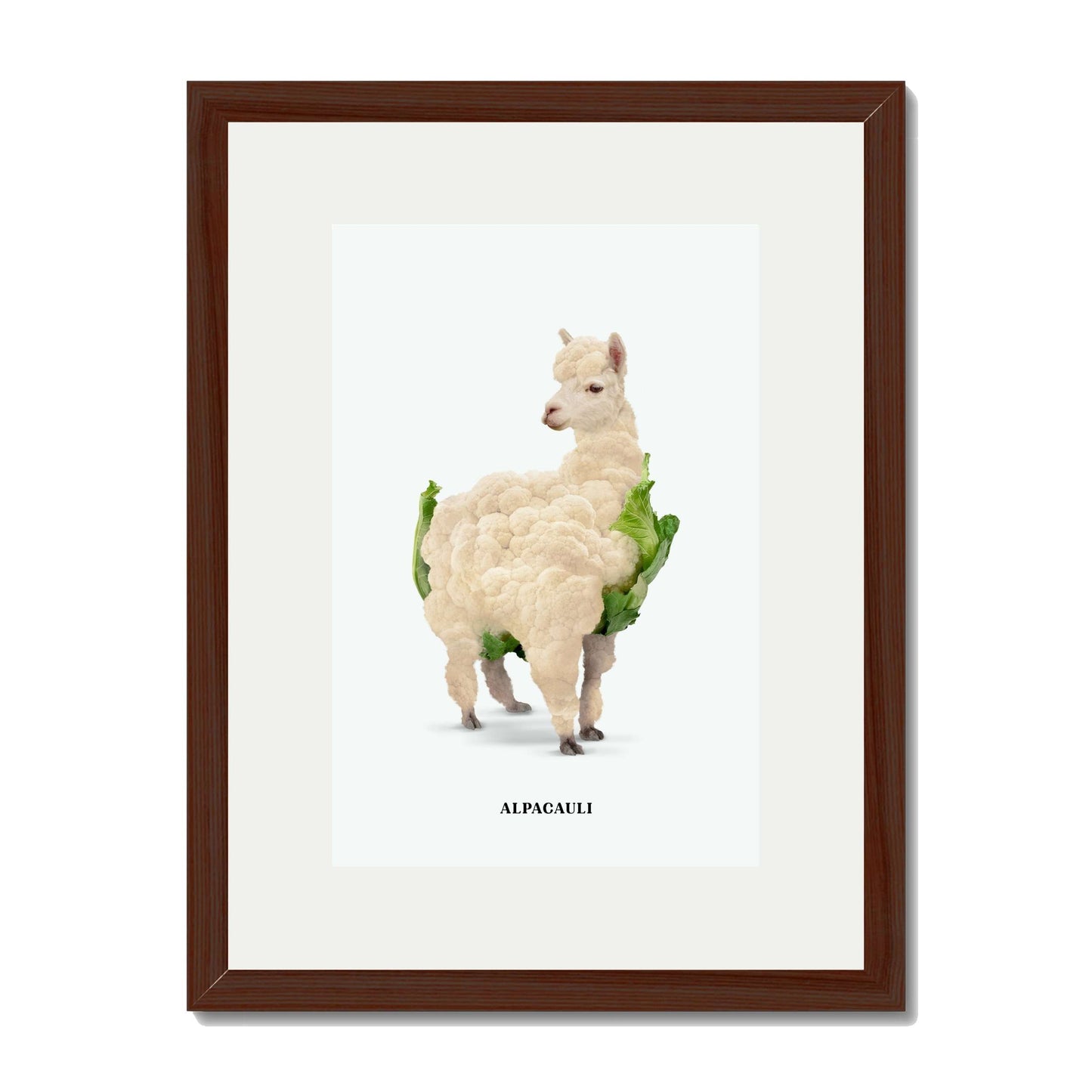 ALPACAULI | PRINT