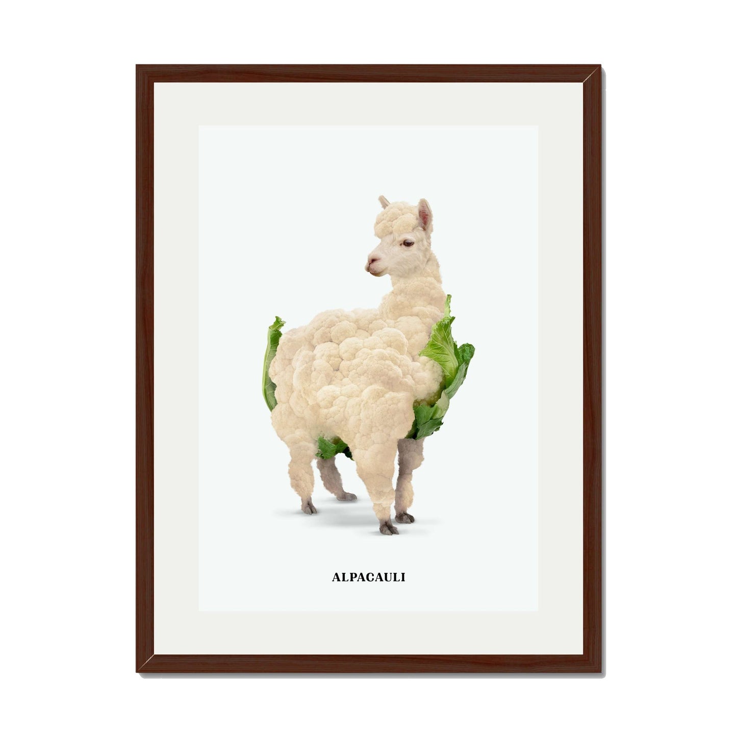 ALPACAULI | PRINT