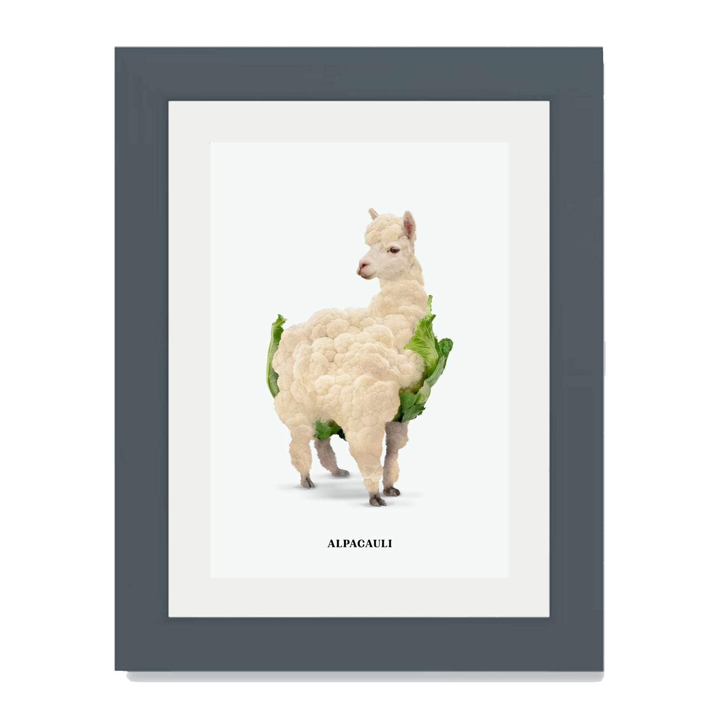 ALPACAULI | PRINT
