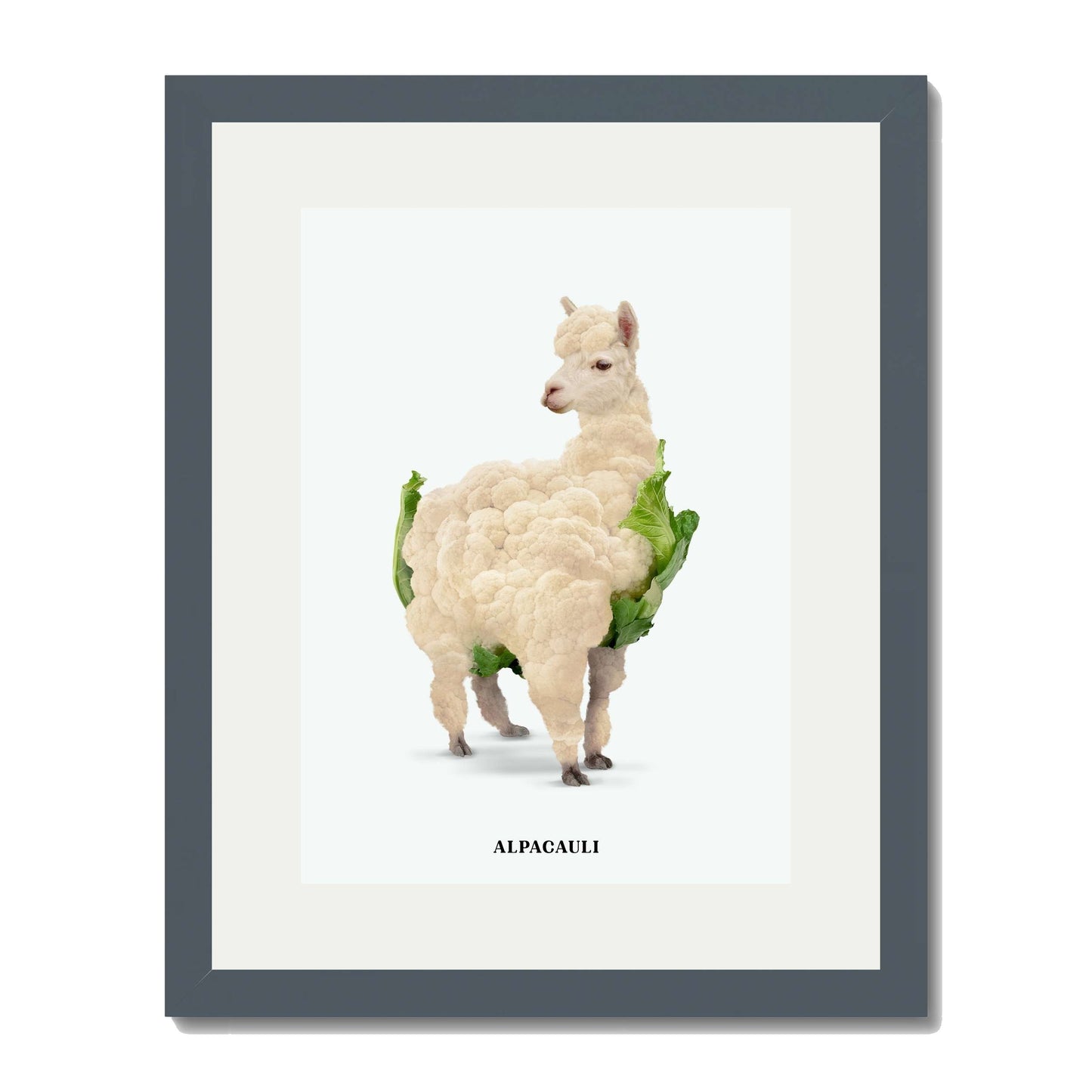 ALPACAULI | PRINT