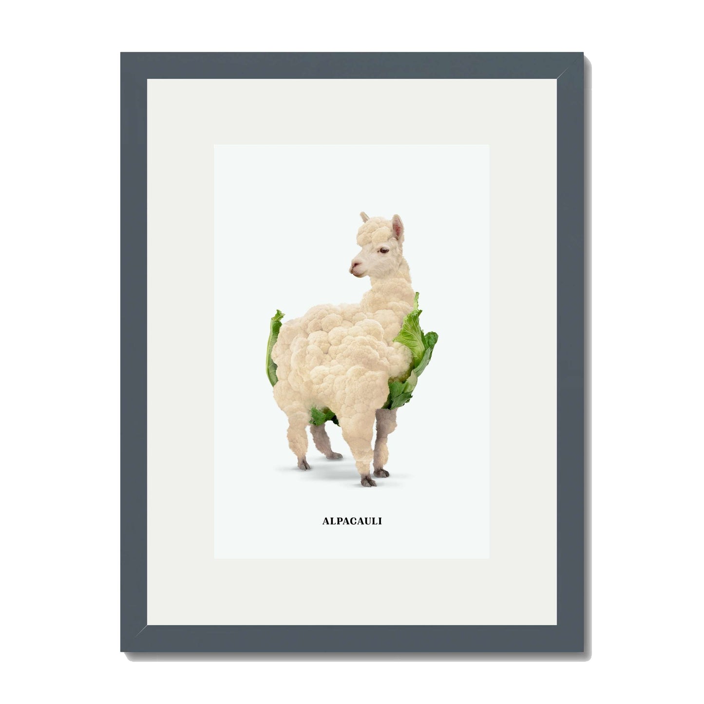 ALPACAULI | PRINT