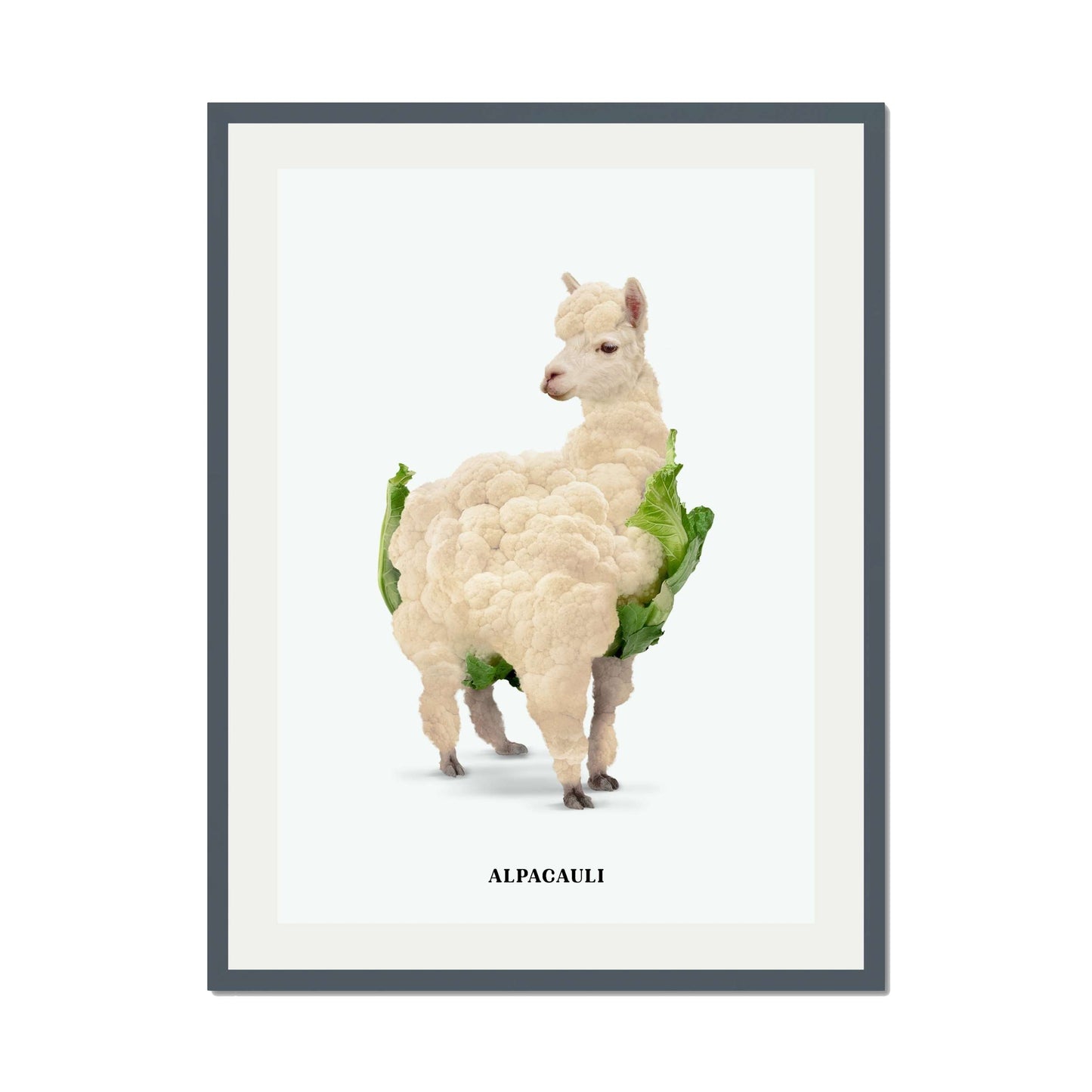 ALPACAULI | PRINT