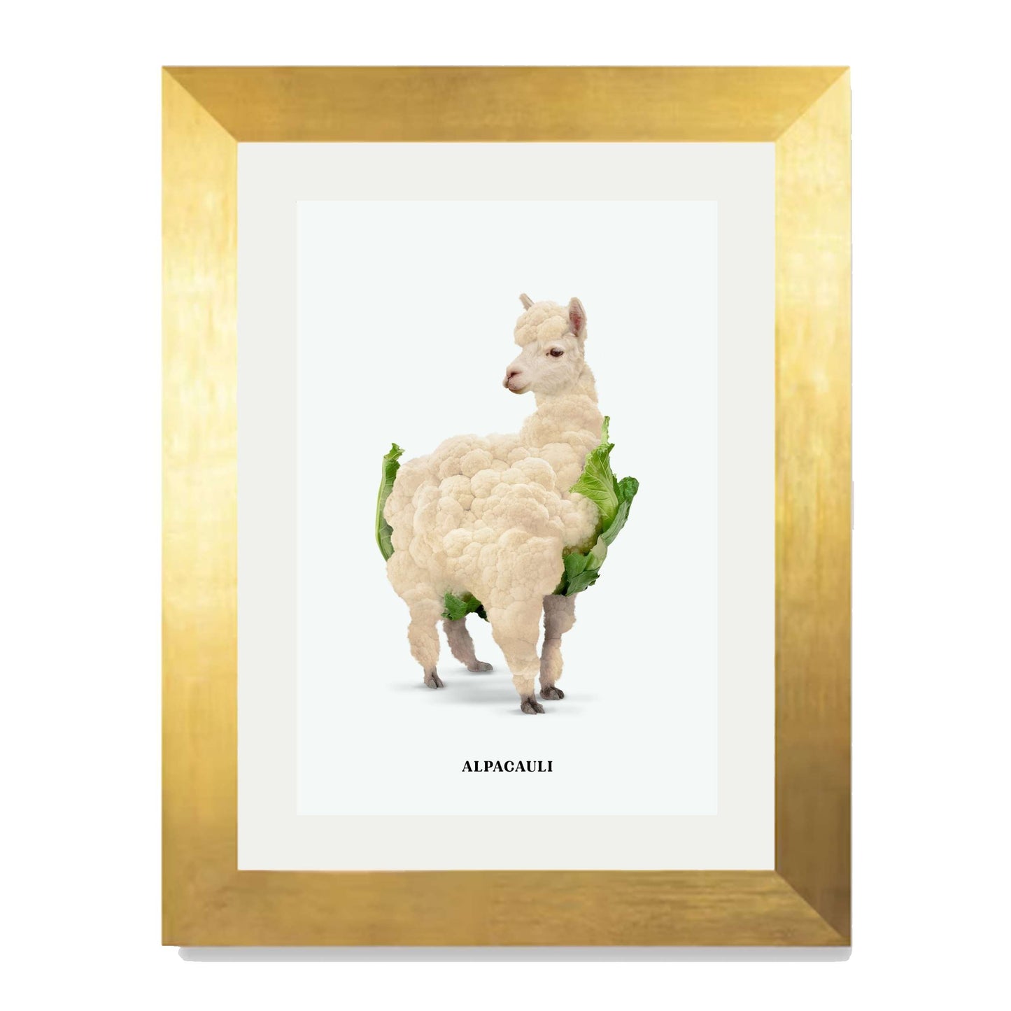 ALPACAULI | PRINT