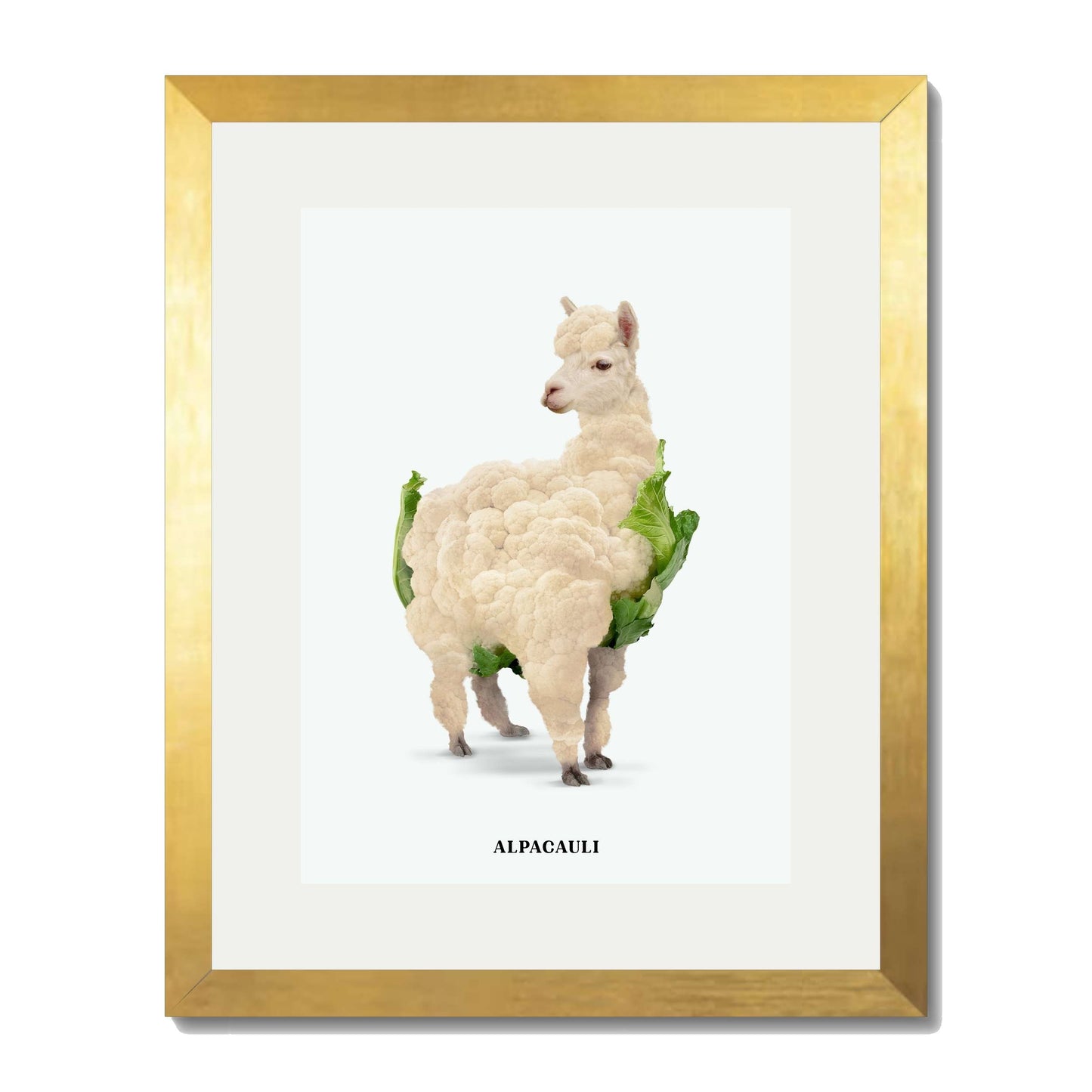 ALPACAULI | PRINT