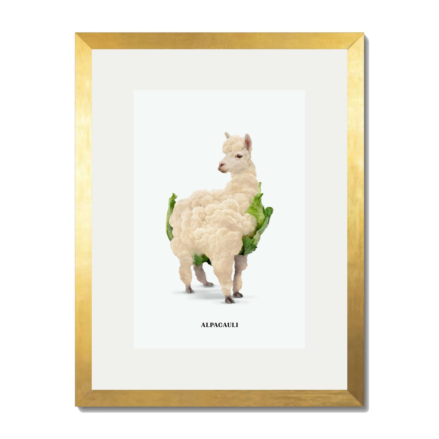 ALPACAULI | PRINT
