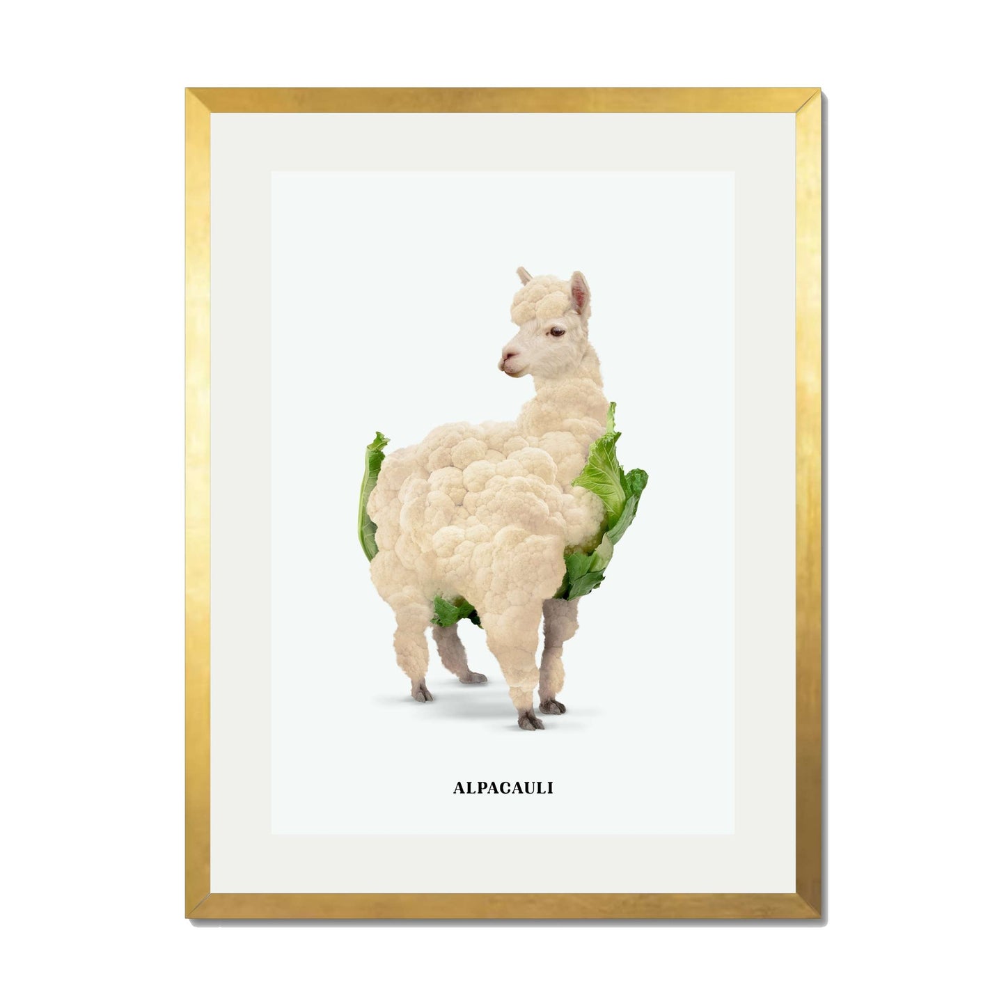 ALPACAULI | PRINT