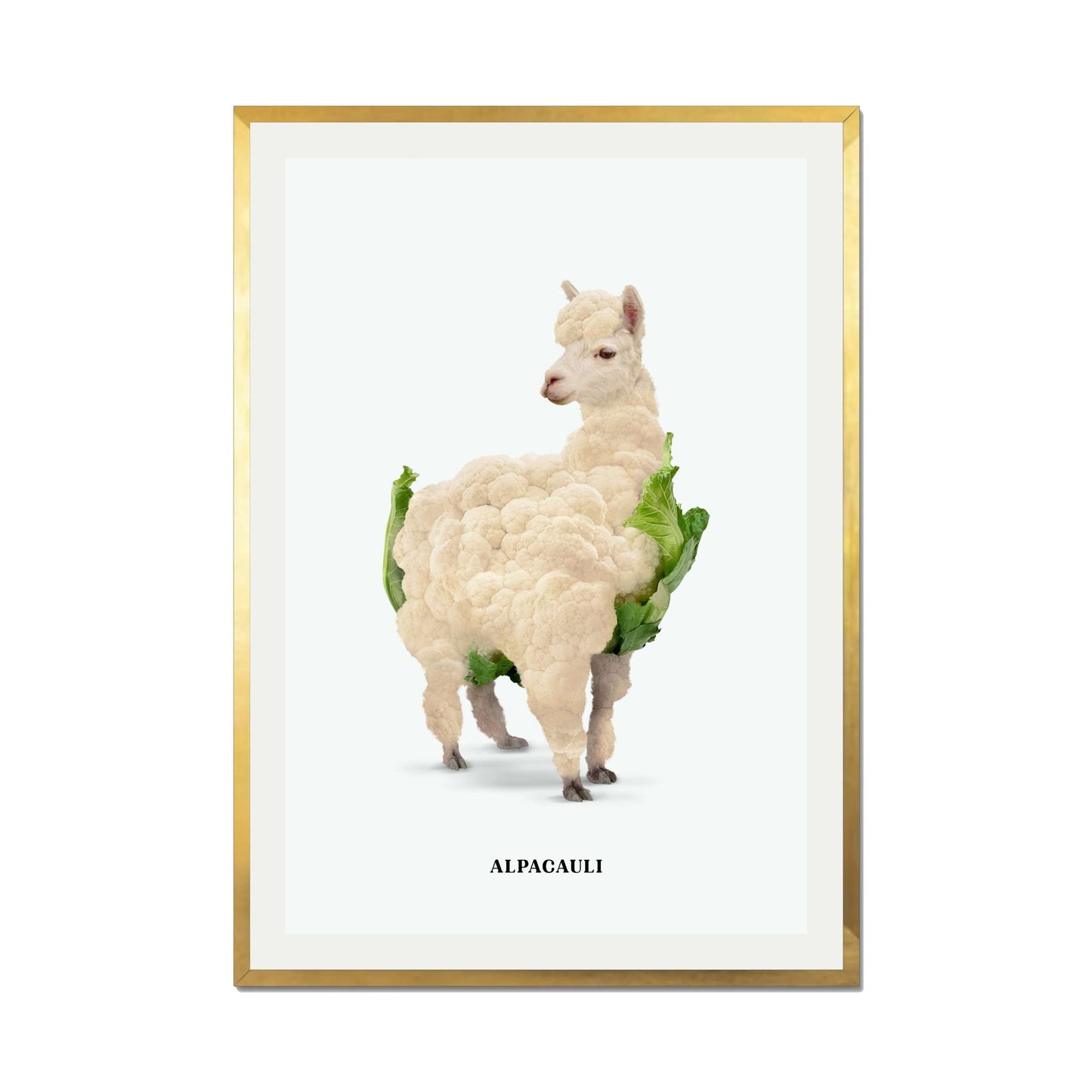 ALPACAULI | PRINT