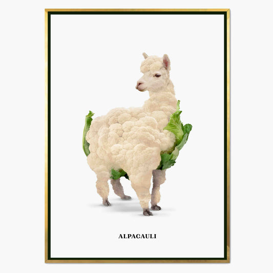 ALPACAULI | CANVAS