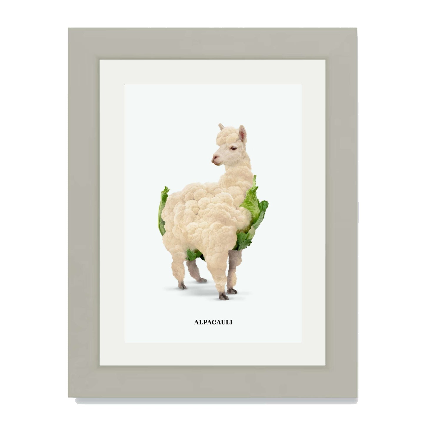 ALPACAULI | PRINT