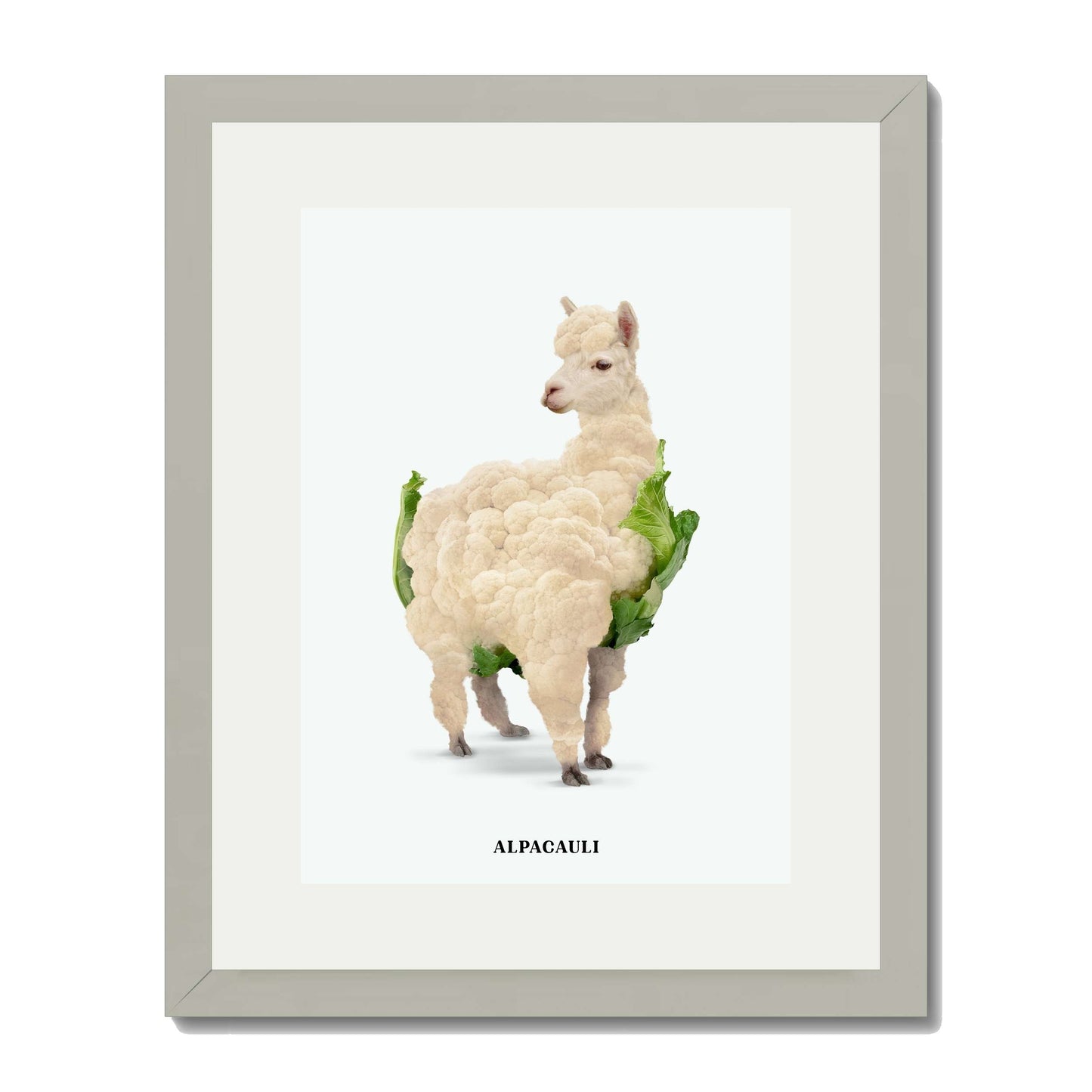 ALPACAULI | PRINT