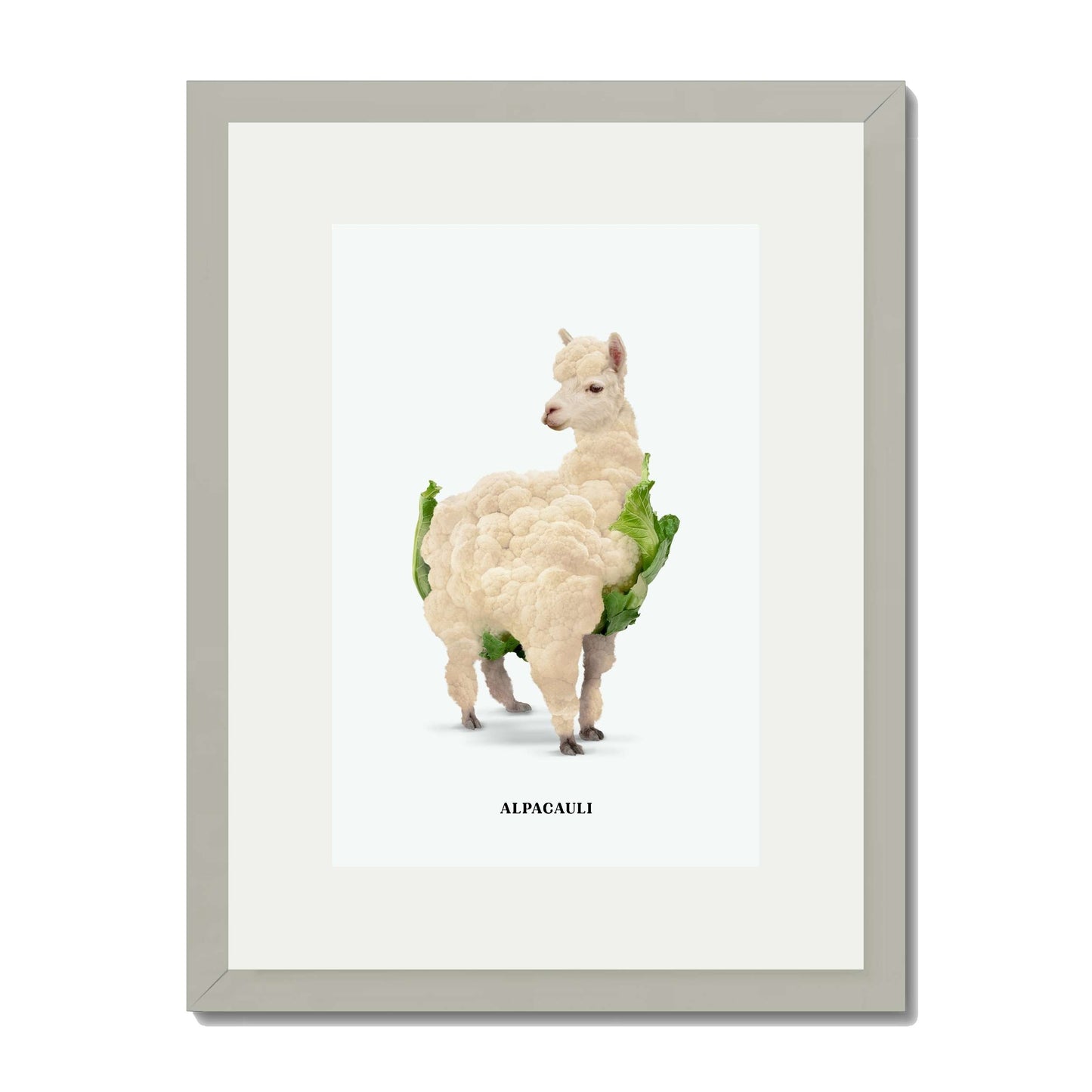 ALPACAULI | PRINT