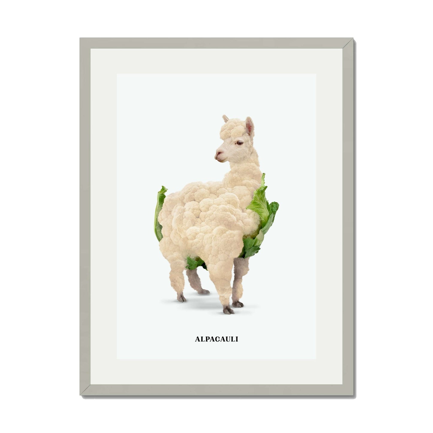 ALPACAULI | PRINT