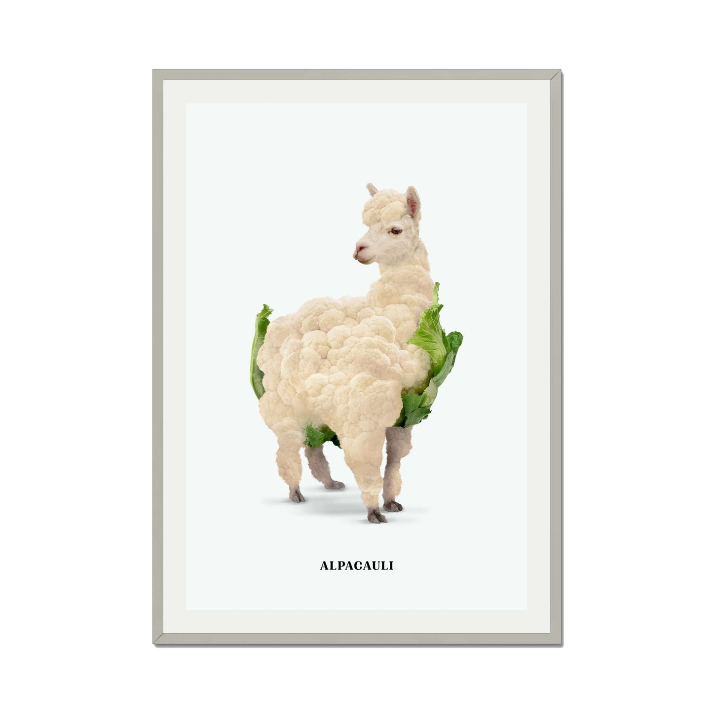 ALPACAULI | PRINT