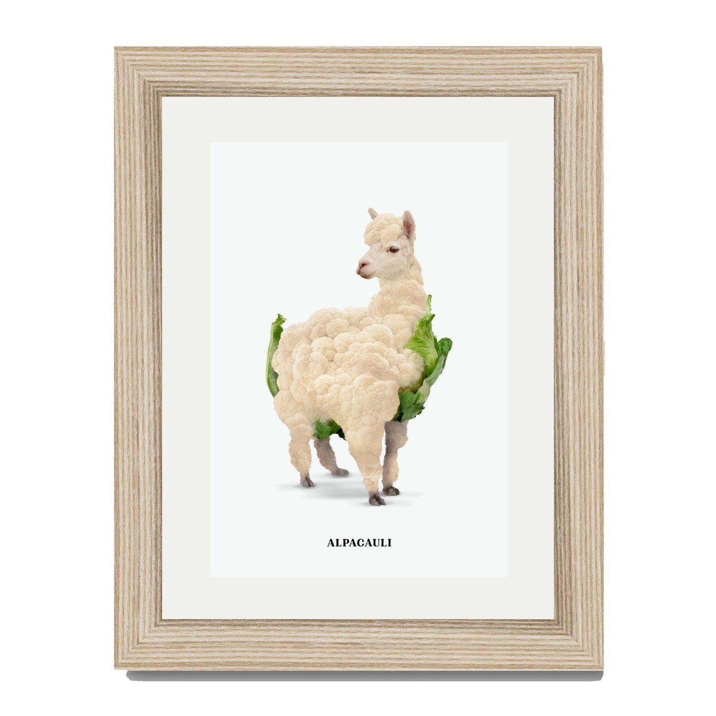 ALPACAULI | PRINT