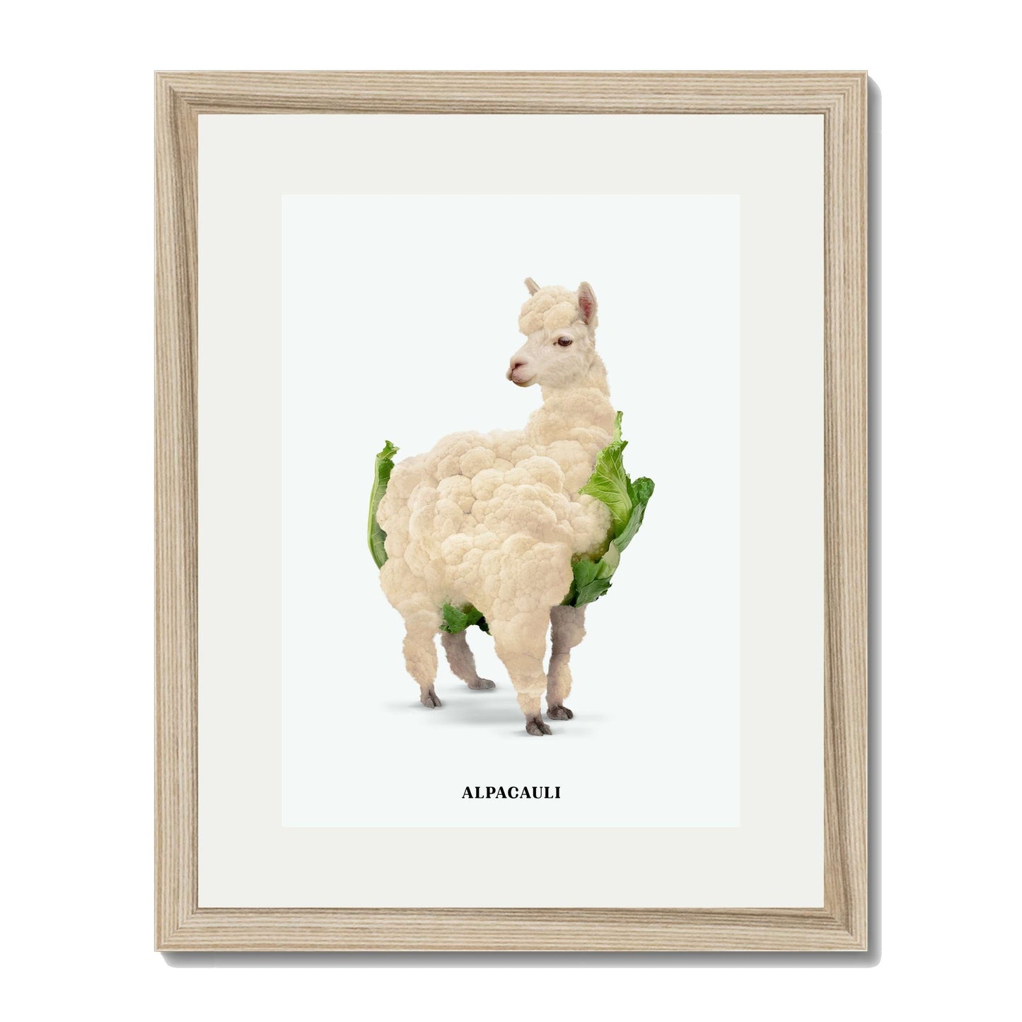 ALPACAULI | PRINT