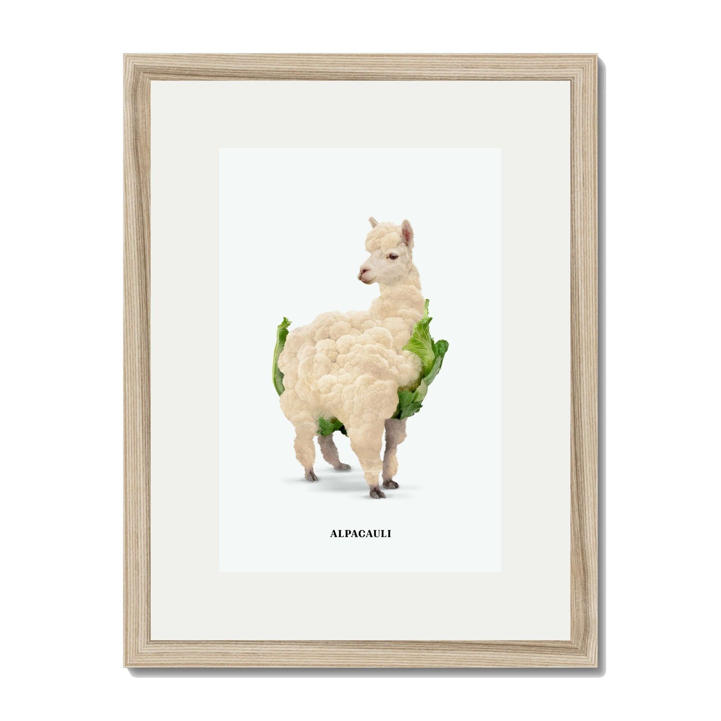 ALPACAULI | PRINT