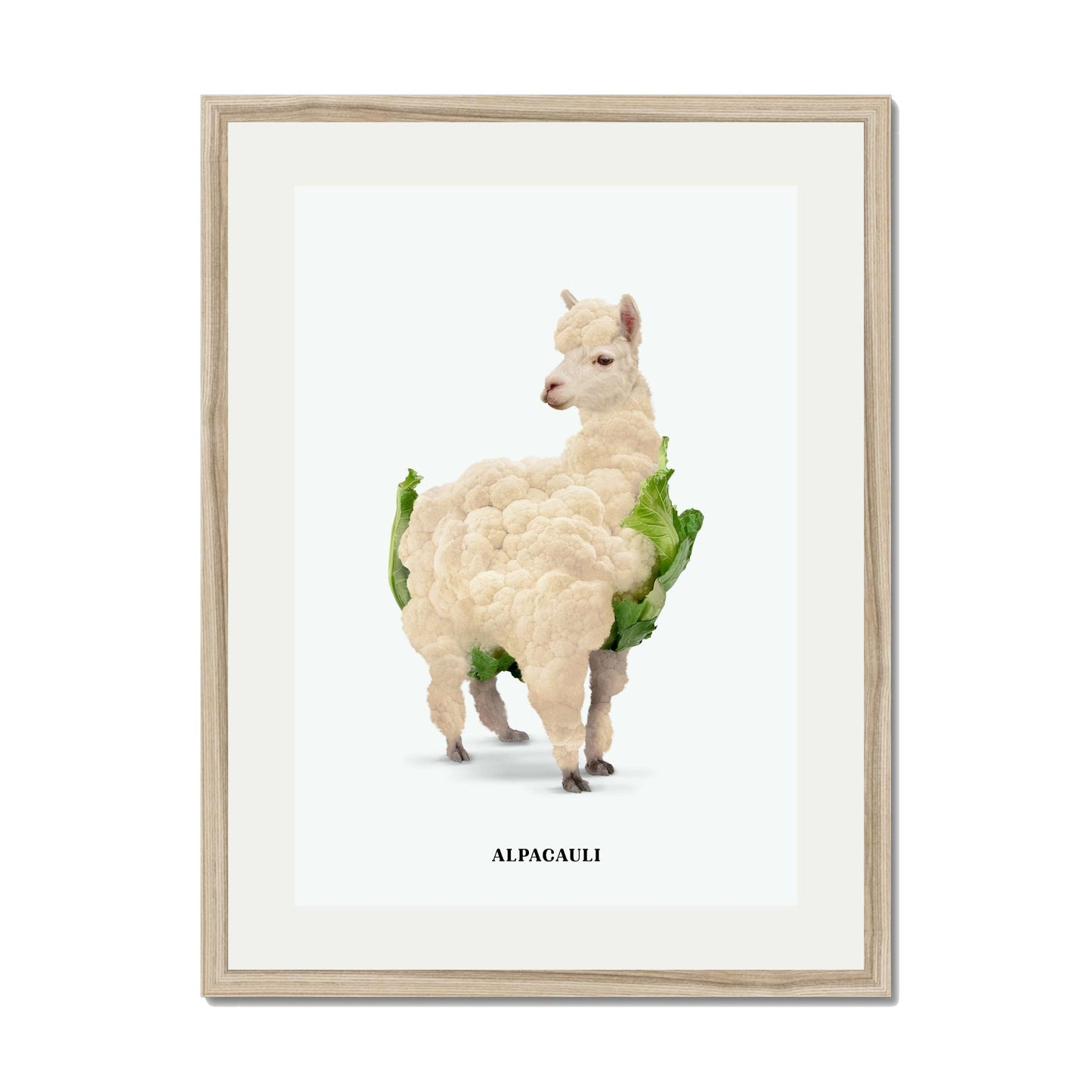 ALPACAULI | PRINT