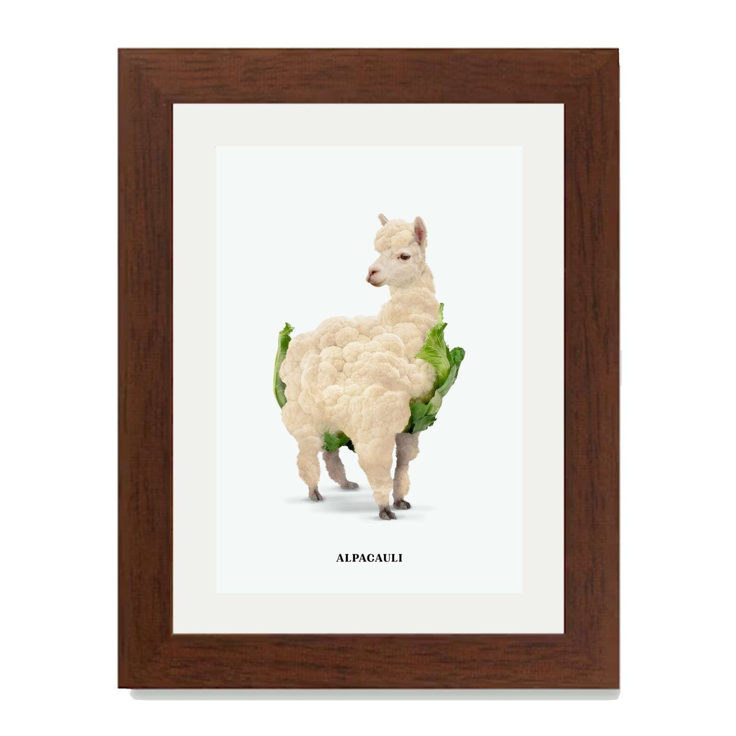 ALPACAULI | PRINT