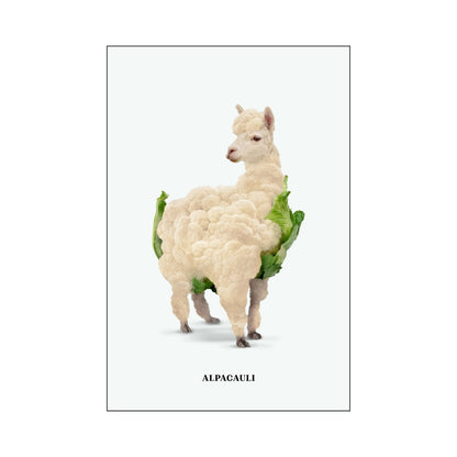 ALPACAULI | PRINT