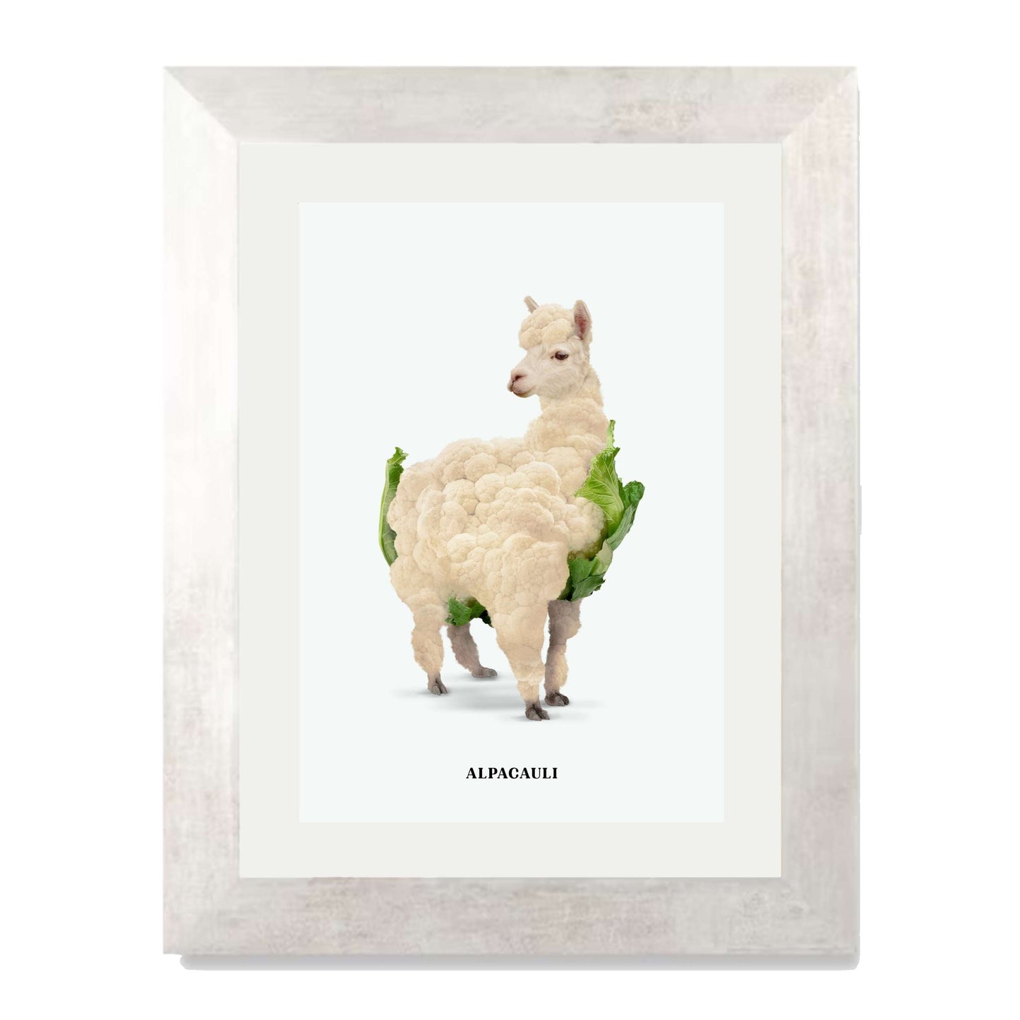 ALPACAULI | PRINT