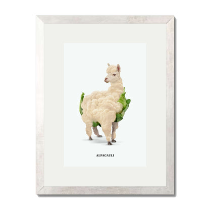 ALPACAULI | PRINT
