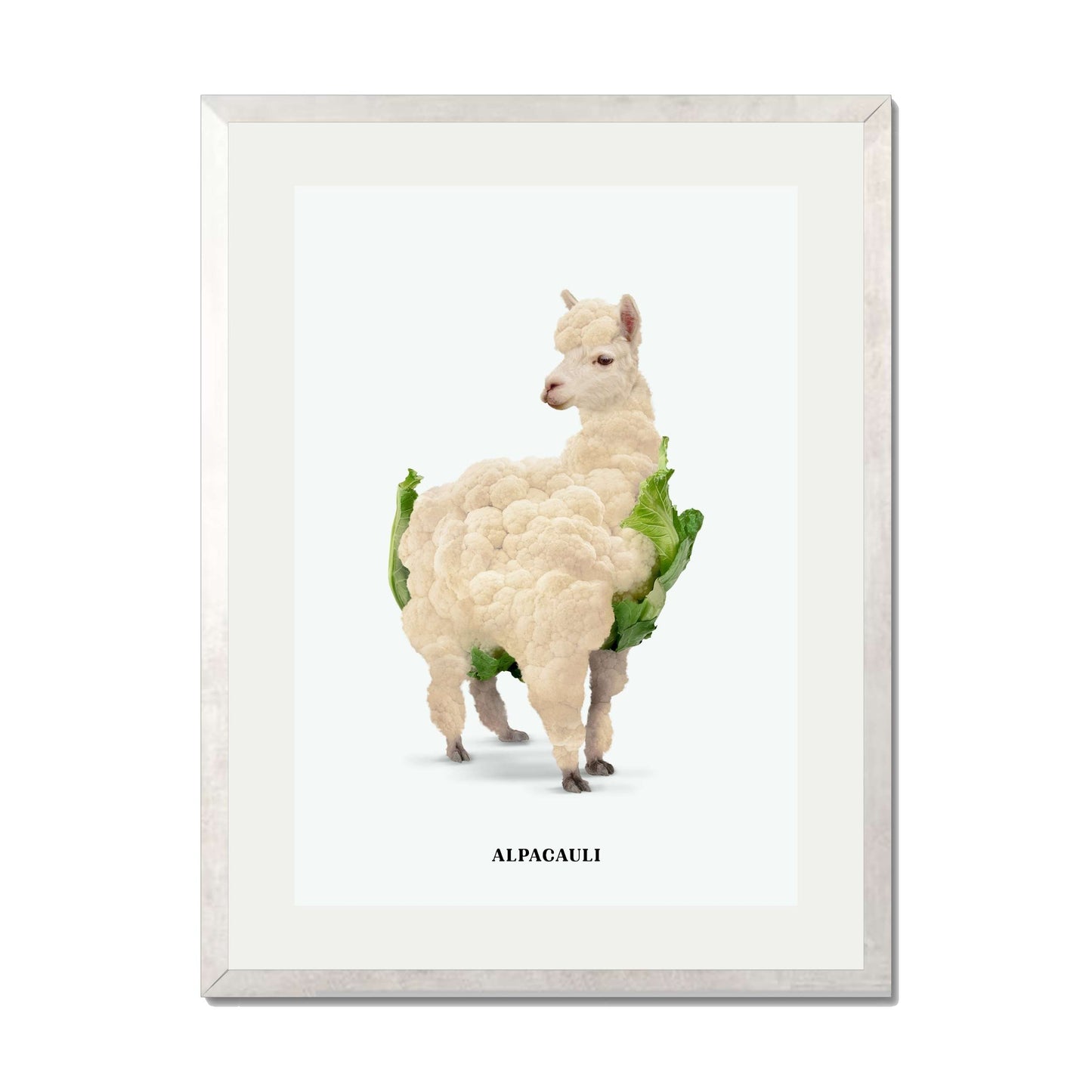 ALPACAULI | PRINT