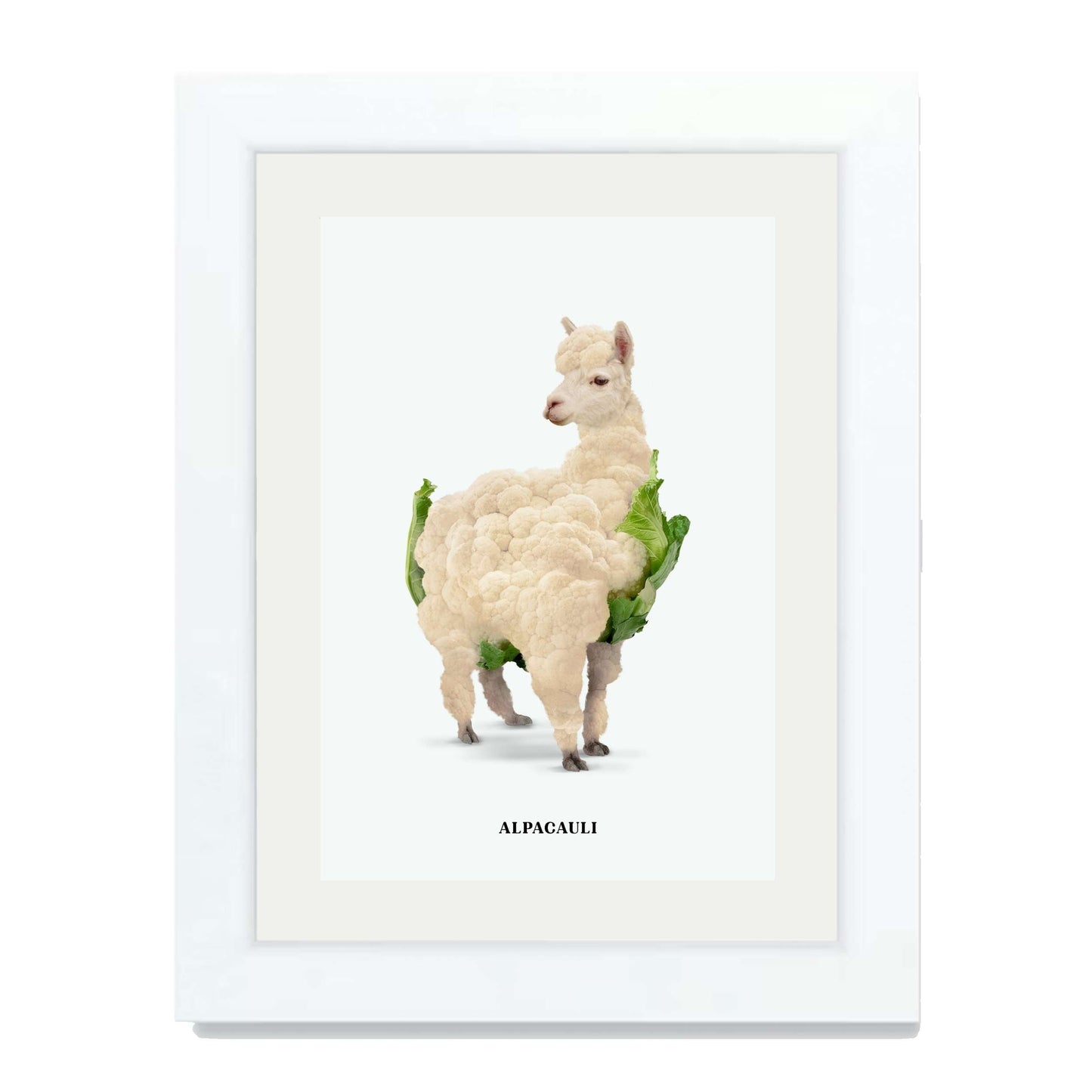 ALPACAULI | PRINT