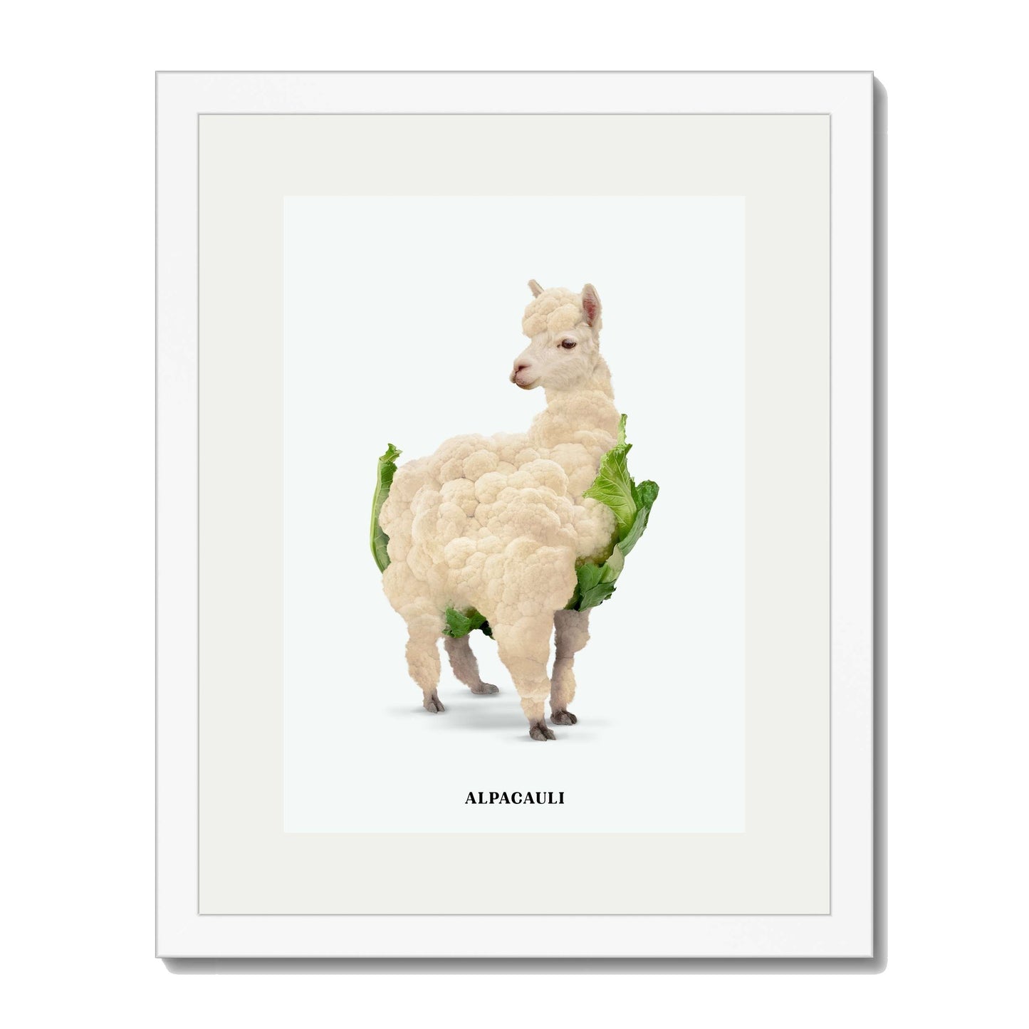 ALPACAULI | PRINT