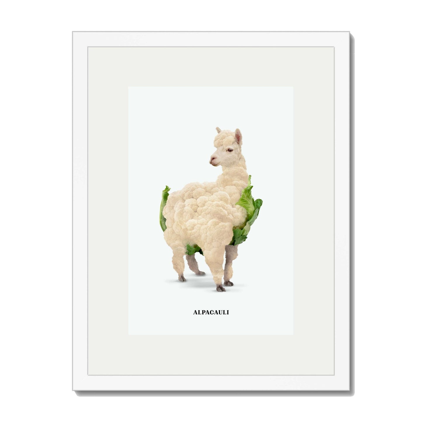 ALPACAULI | PRINT