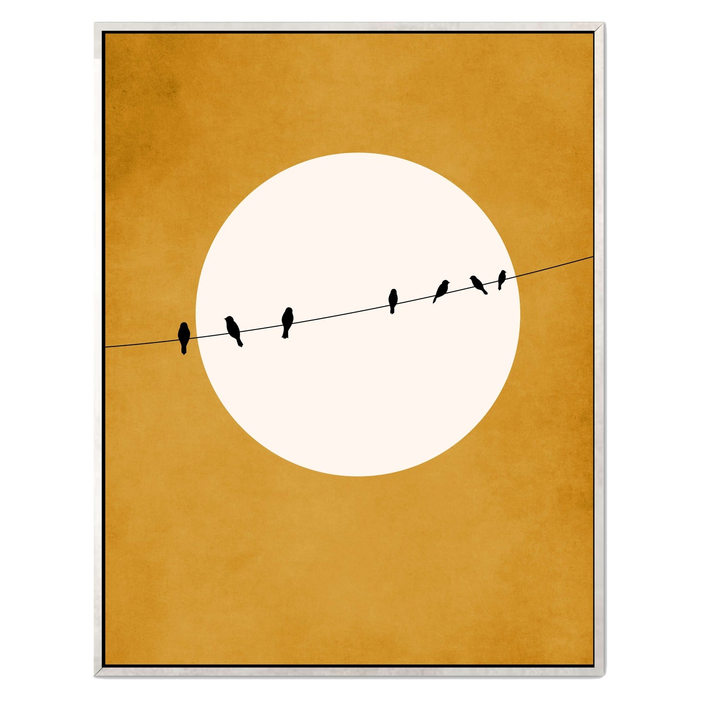 CHIRPING AND CHILLING ( AT NIGHT) | CANVAS