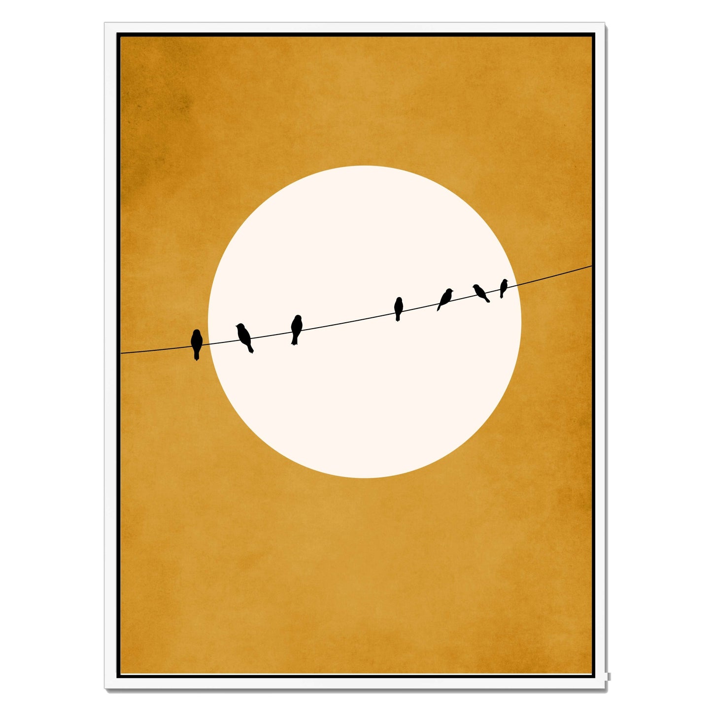 CHIRPING AND CHILLING ( AT NIGHT) | CANVAS