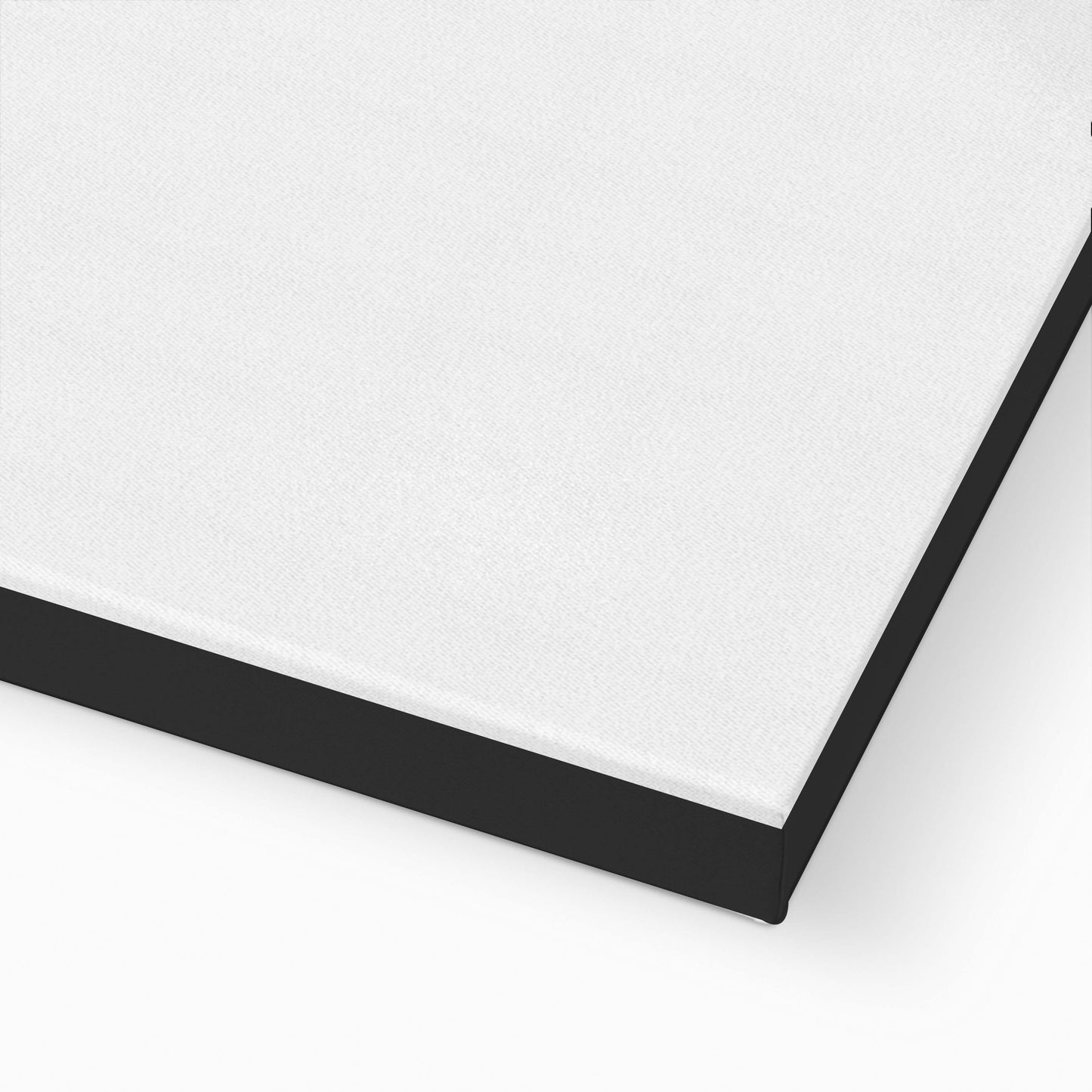 CIRCLE AND LINE | CANVAS