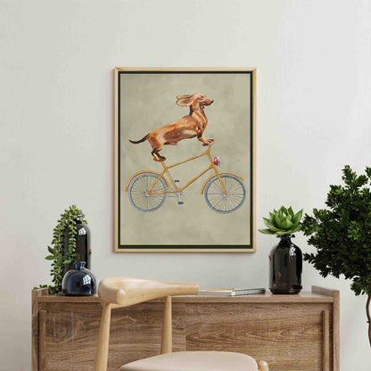 DACHSHUND ON BICYCLE | CANVAS