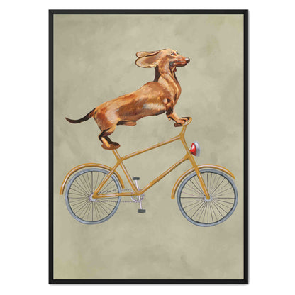 DACHSHUND ON BICYCLE | CANVAS