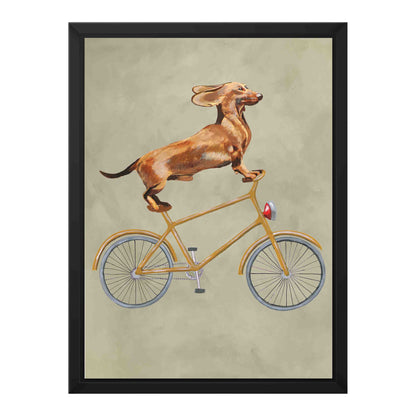 DACHSHUND ON BICYCLE | CANVAS