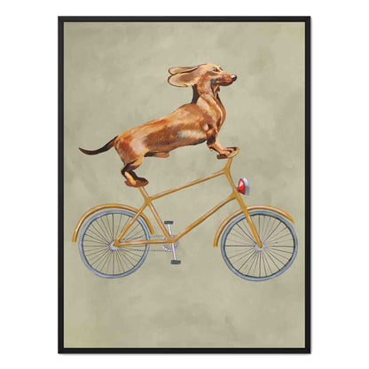 DACHSHUND ON BICYCLE | CANVAS