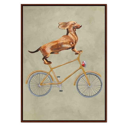 DACHSHUND ON BICYCLE | CANVAS
