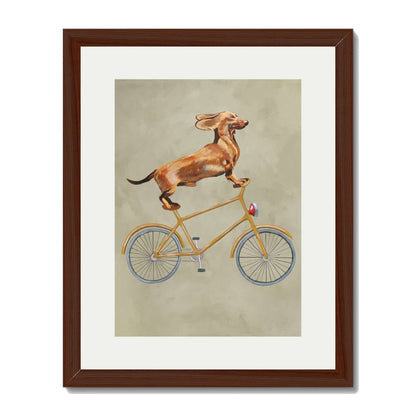 DACHSHUND ON BICYCLE | PRINT