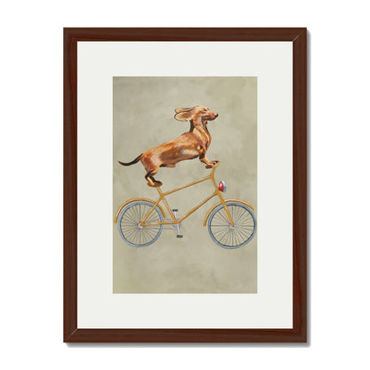 DACHSHUND ON BICYCLE | PRINT
